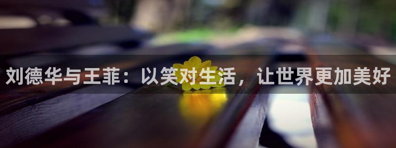 好看的汗汗漫画：刘德华与王菲：以笑对生活，让世界更加美好