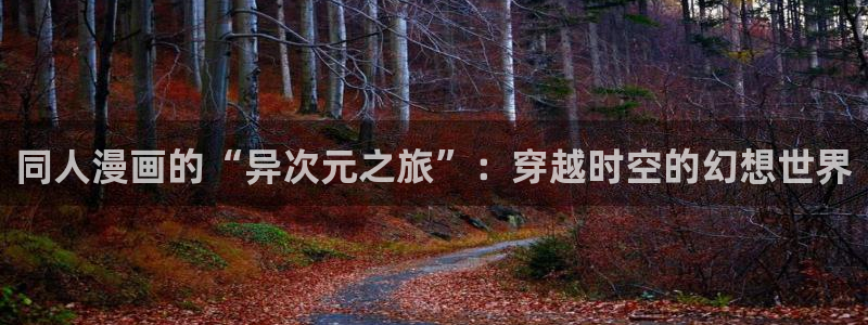 汗汗漫画入口处：同人漫画的“异次元之旅”：穿越时空的幻想世界