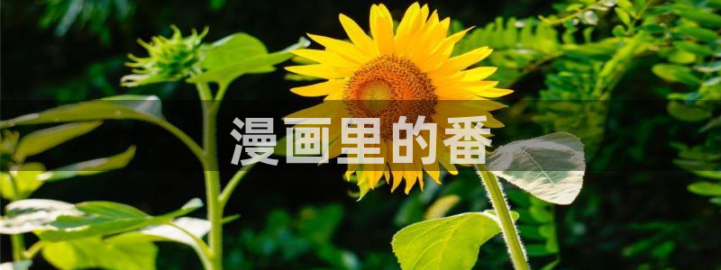 艳母 汗汗漫画：漫画里的番