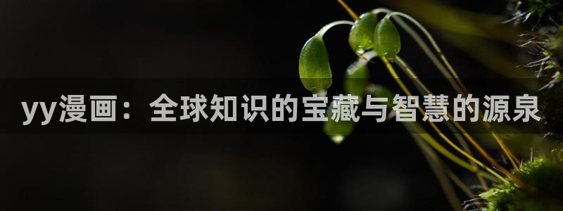 汗汗漫画免费下载：yy漫画：全球知识的宝藏与智慧的源泉
